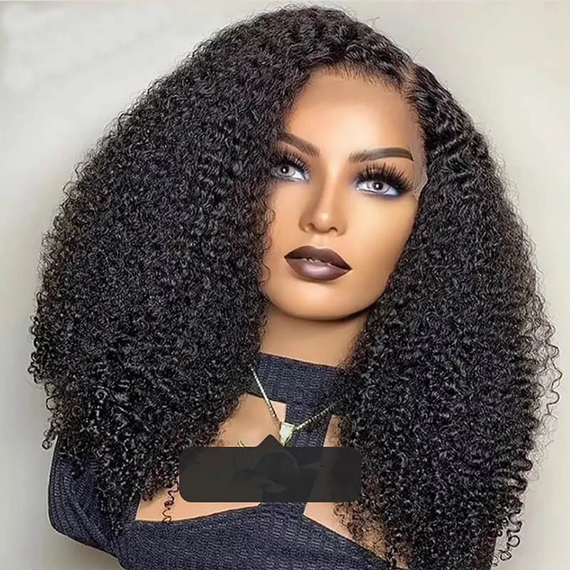 Natural Black 13x4 Transparent Lace Front Wig Afro Kinky Curly Wigs [LFW06]